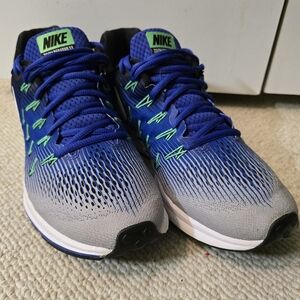 Men's Nike Zoom Pegasus 33